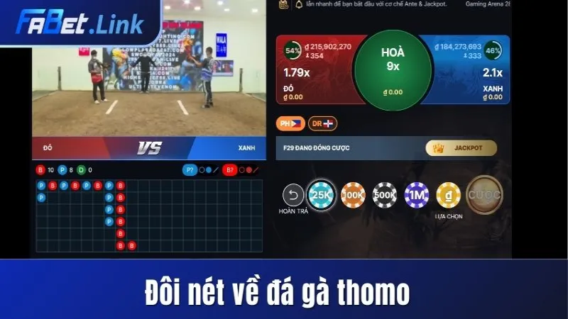 ĐÁ GÀ THOMO FABET - NHỮNG THÔNG TIN QUAN TRỌNG CHO HỘI VIÊN 8 ĐÔI NÉT VỀ ĐÁ GÀ THOMO TẠI FABET