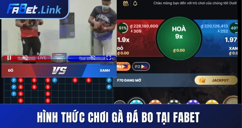 GÀ ĐÁ BO FABET -TRẬN ĐẤU HẤP DẪN GIỮA CHIẾN KÊ DŨNG MÃNH 10 HÌNH THỨC CHƠI GÀ ĐÁ BO TẠI FABET