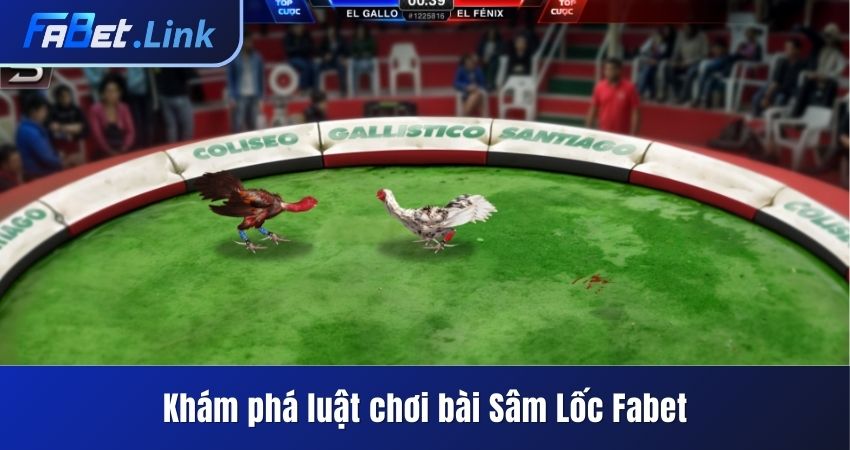 ĐÁ GÀ CỰA SẮT FABET - CUỘC SO TÀI GAY CẤN CỦA CHIẾN KÊ 9 LOẠI KÈO CƯỢC TRONG ĐÁ GÀ CỰA SẮT